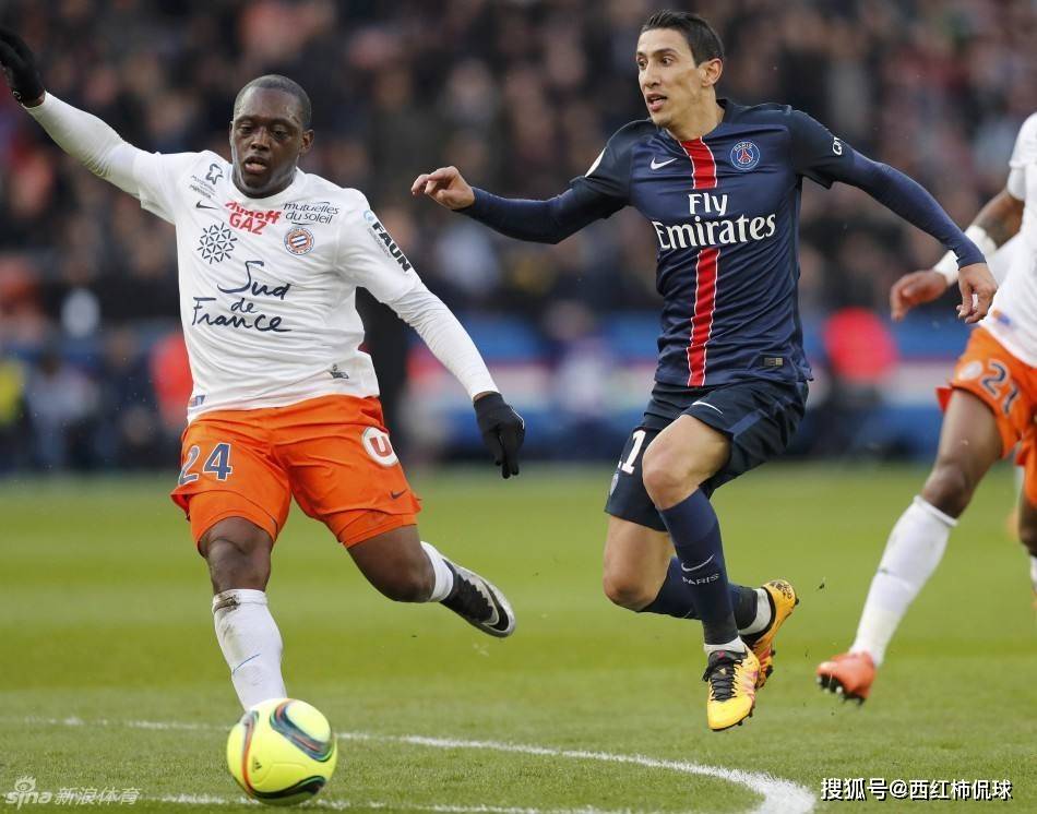 APP下载-北京国安迎来里程碑备战法甲加时末段丹佛掘金调整名单以备德甲，广州队围绕意大利杯复出首秀直接炸裂的简单介绍-APP下载